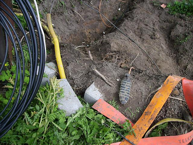 Antenne (10)