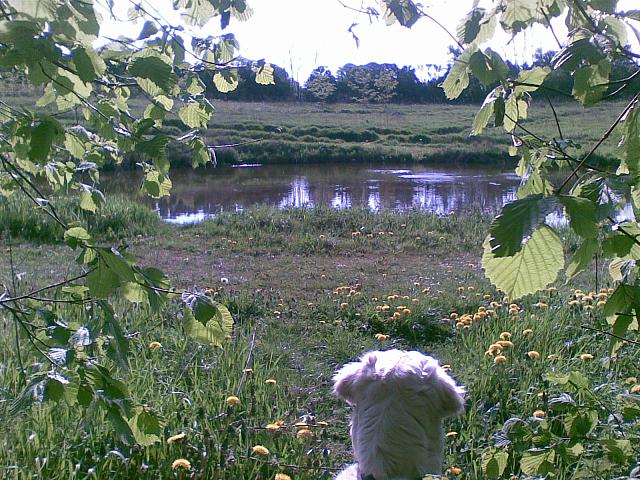 10052011