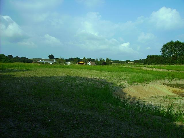 InfoPav (19)