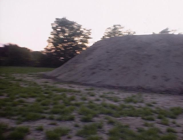 2007 006